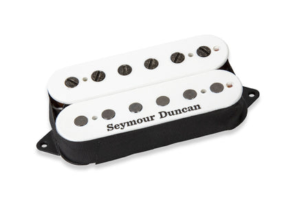 Seymour Duncan Loomis Noumenon