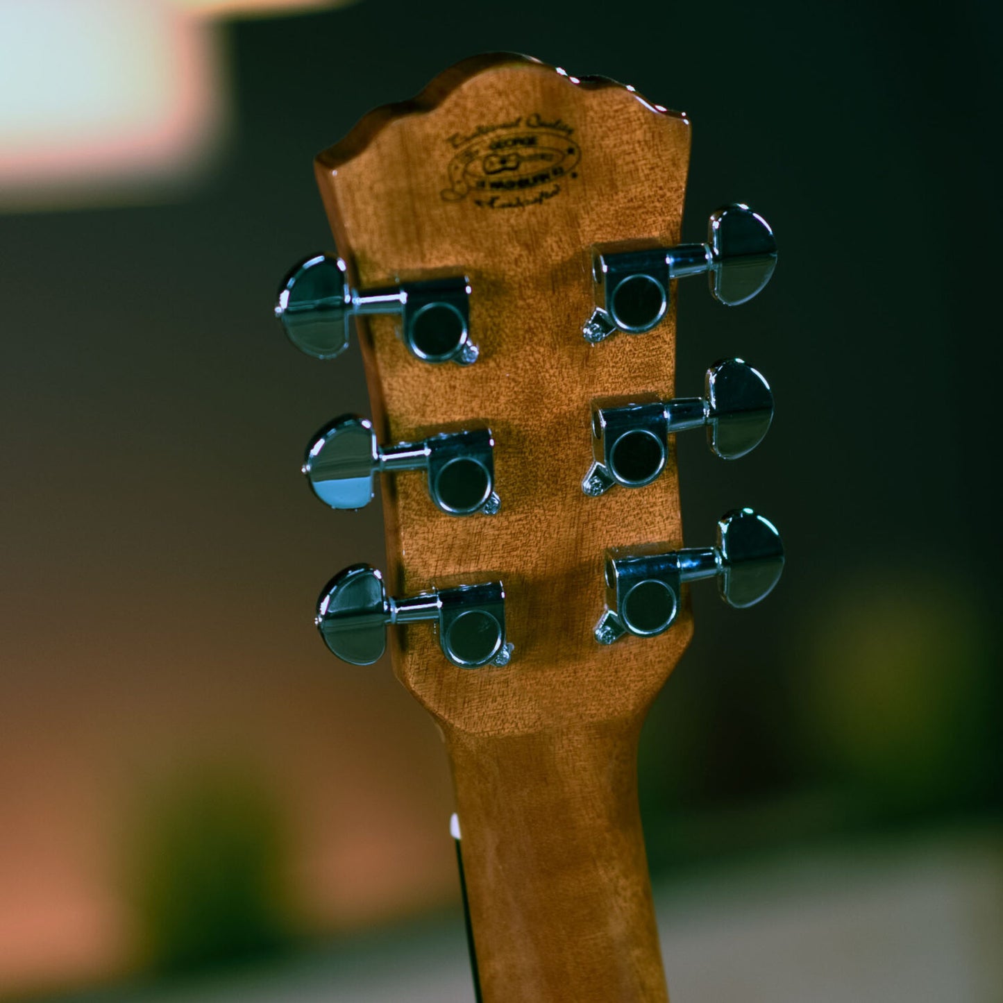 Washburn F5 Folk - Natural